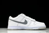 SB Dnk Low x Supreme 94 White Metallic Silver