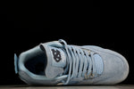 AJ4 Retro UNC PE